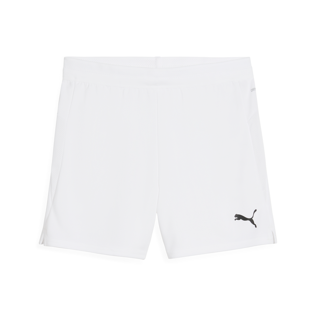 Puma TeamCUP 25 Shorts