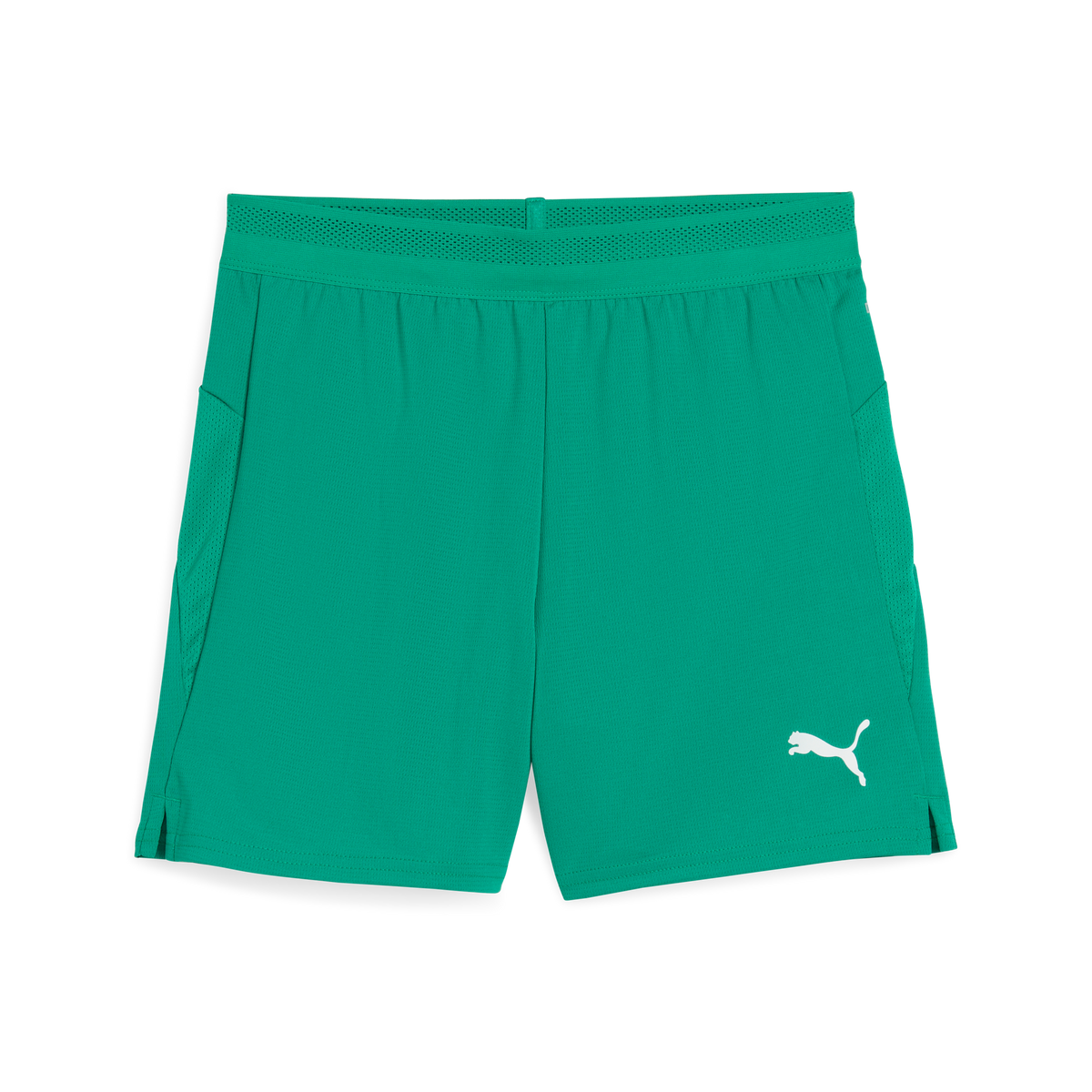 Puma TeamCUP 25 Shorts