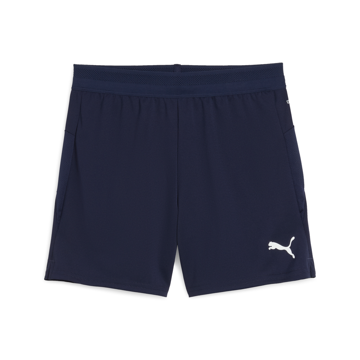 Puma TeamCUP 25 Shorts