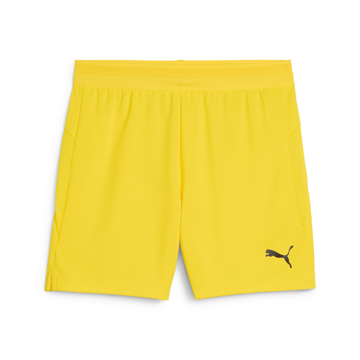 Puma TeamCUP 25 Shorts