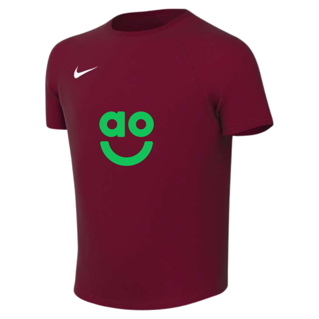 AO Park VIII Nike Shirt
