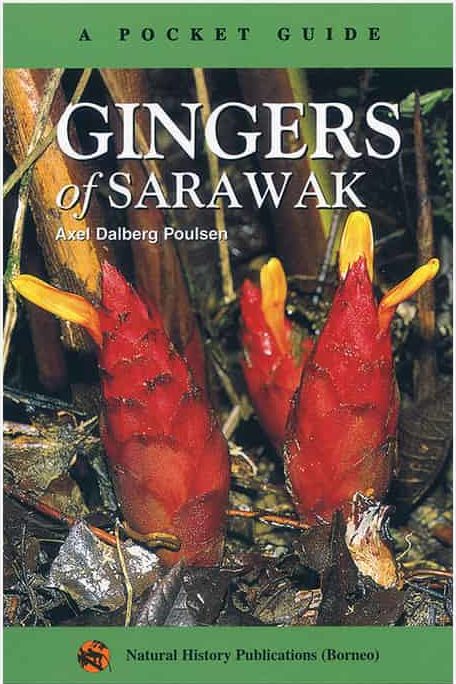 A POCKET GUIDE: GINGERS OF SARAWAK