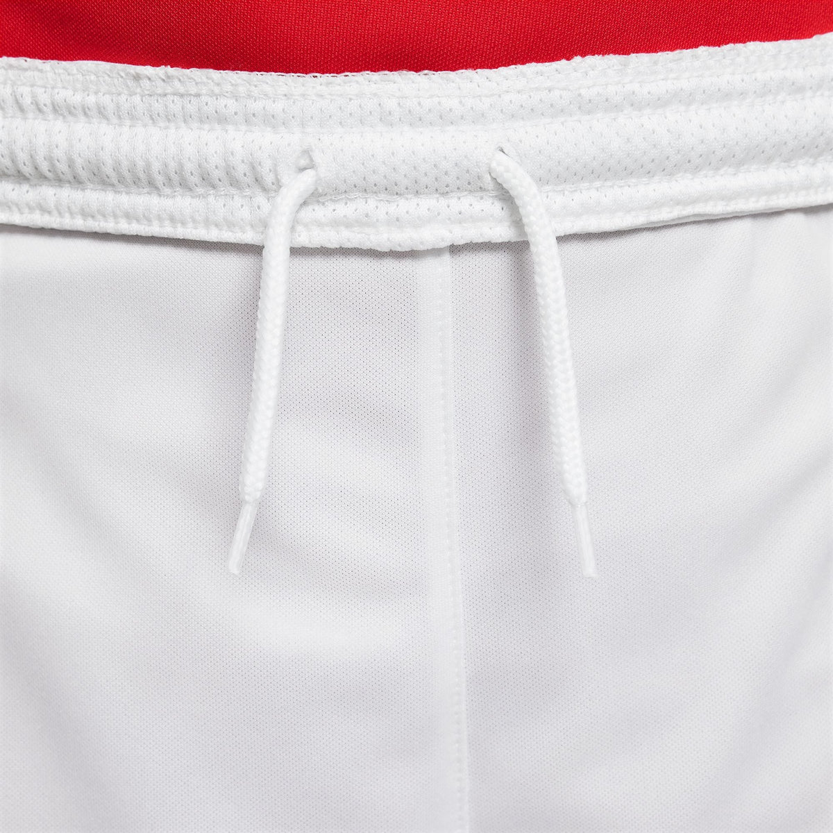 Nike Dri-FIT Park III Short