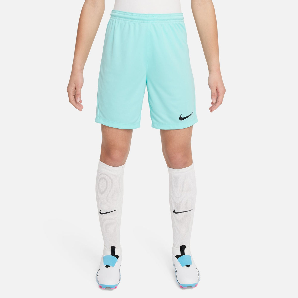 Nike Dri-FIT Park III Short