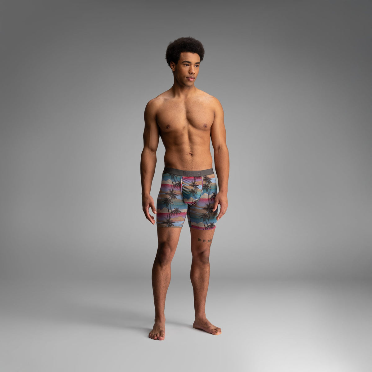 Classic Icon Boxer Brief With Fly : Palm Tree Horizon - Heather
