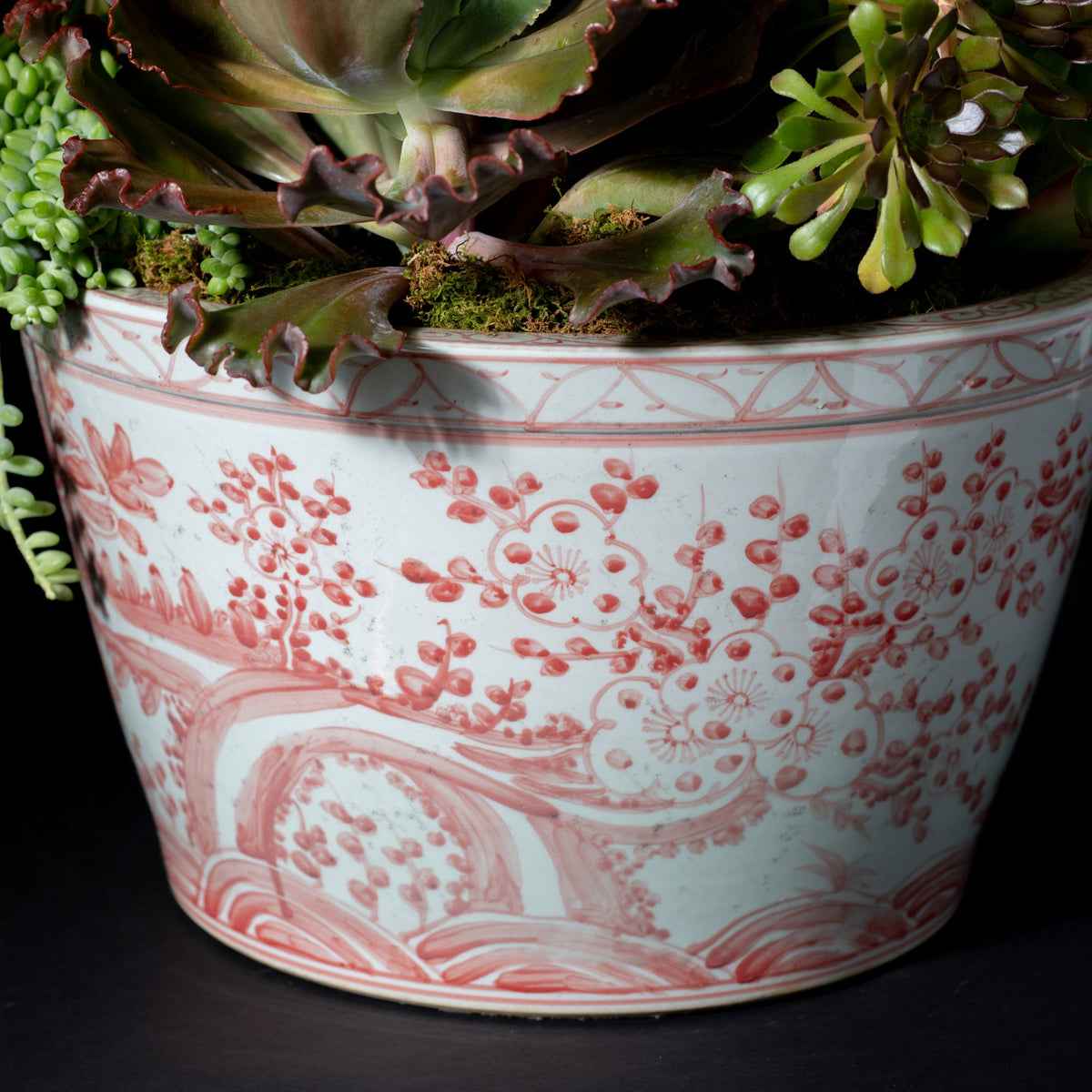 LARGE SUCULANT PLANTER - CORAL RED PEONY