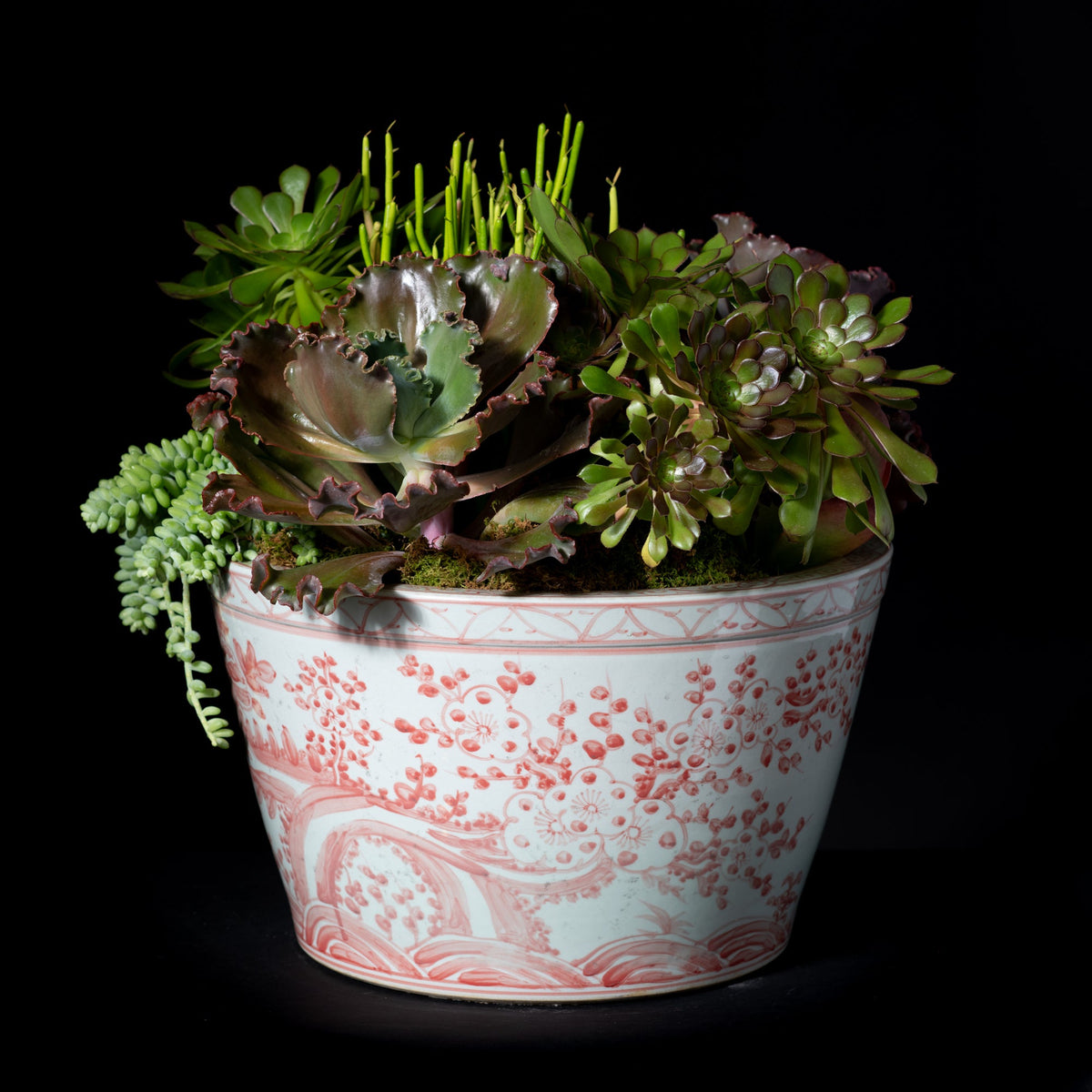 LARGE SUCULANT PLANTER - CORAL RED PEONY