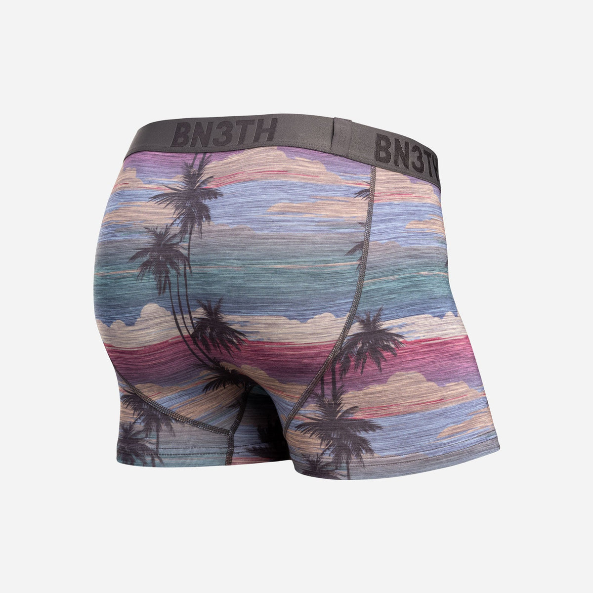 Classic Icon Trunk With Fly : Palm Tree Horizon - Heather