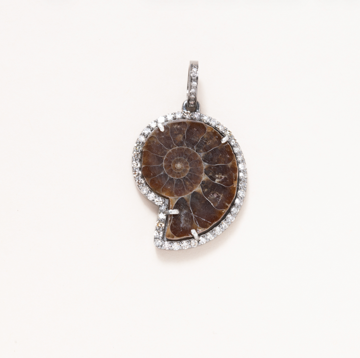Ammonite, Silver & Diamond Pave Pendant