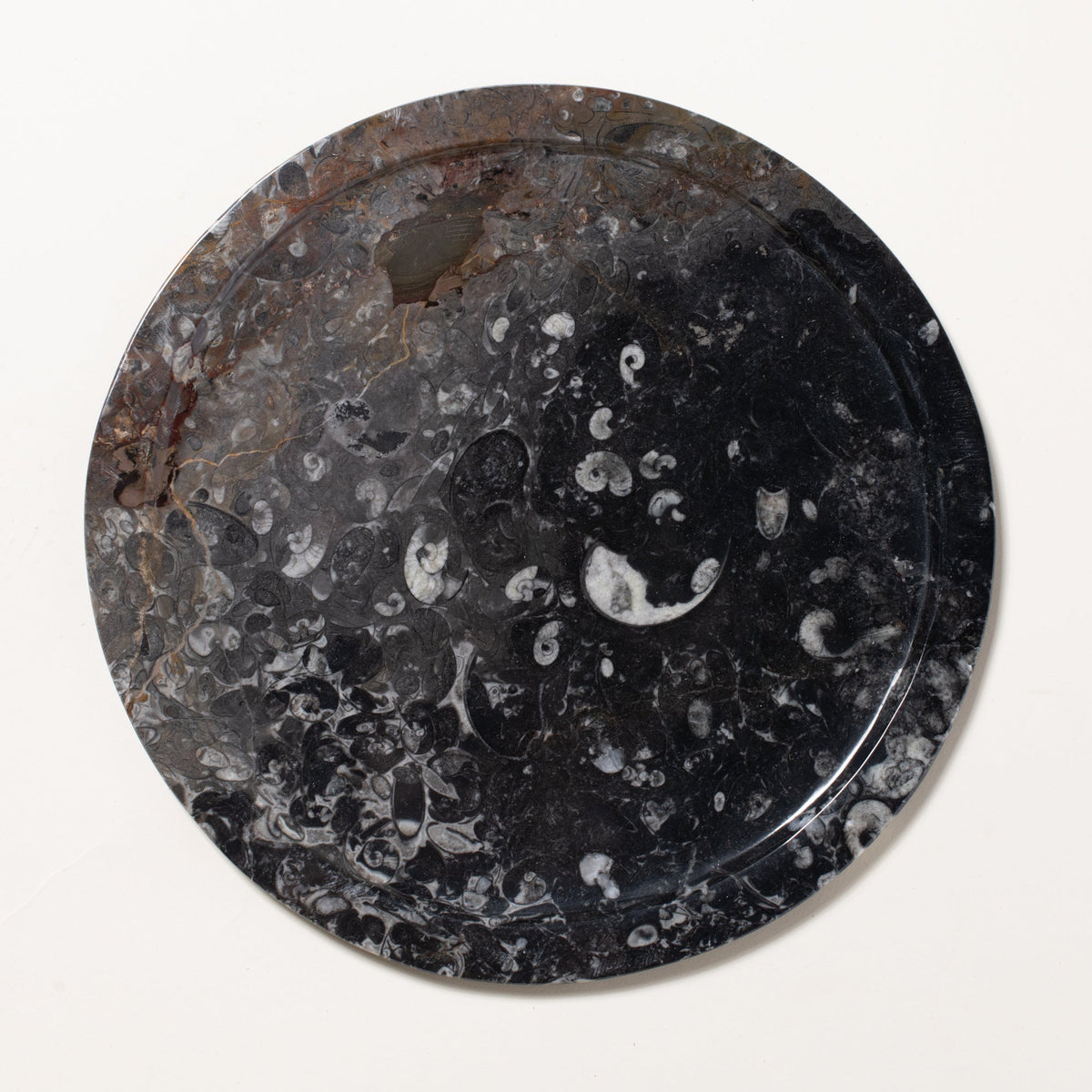 Ammonite Plate