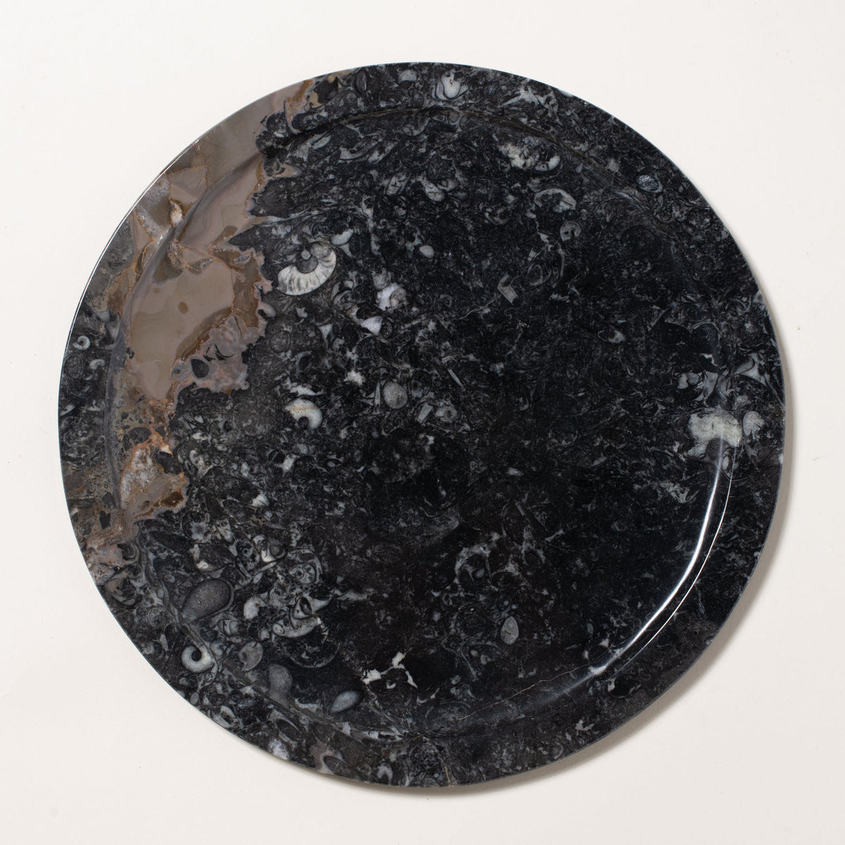 Ammonite Plate