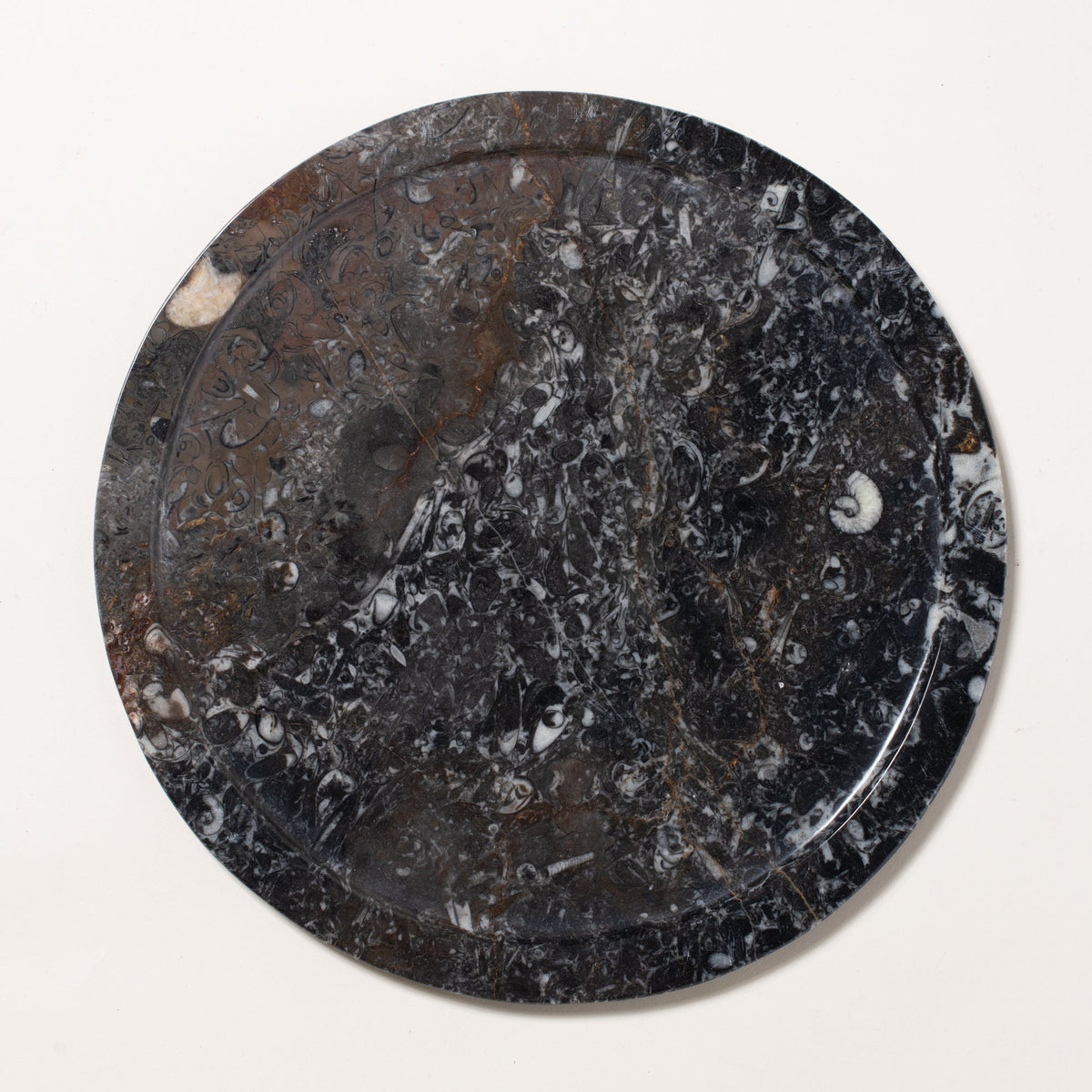 Ammonite Plate