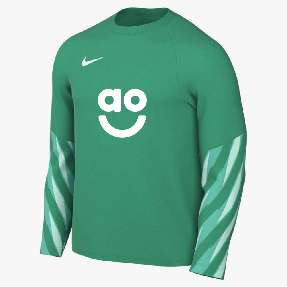 AO Park V Goalkeeper Shirt
