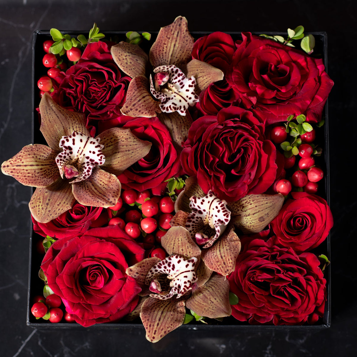 Scarlet Gift