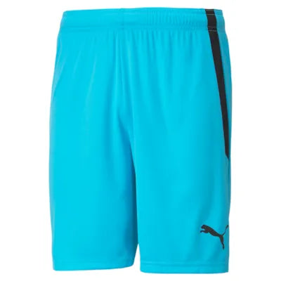 TFC Home GK Short