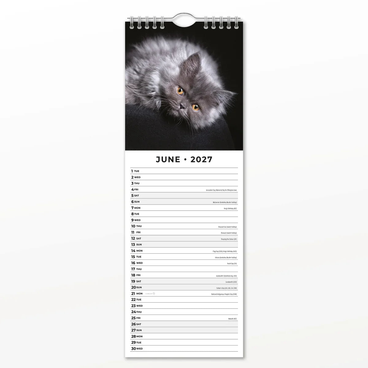 2027 Slimline Calendar Cute Kittens (RR272008)